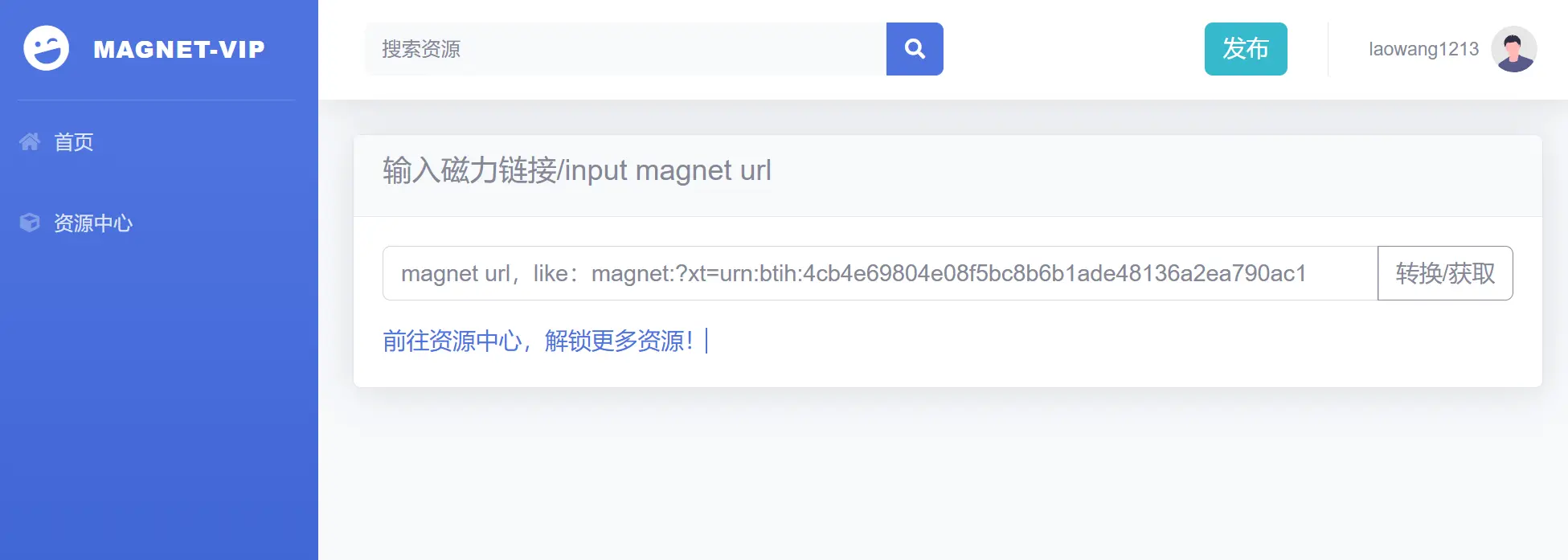 MAGNET VIP