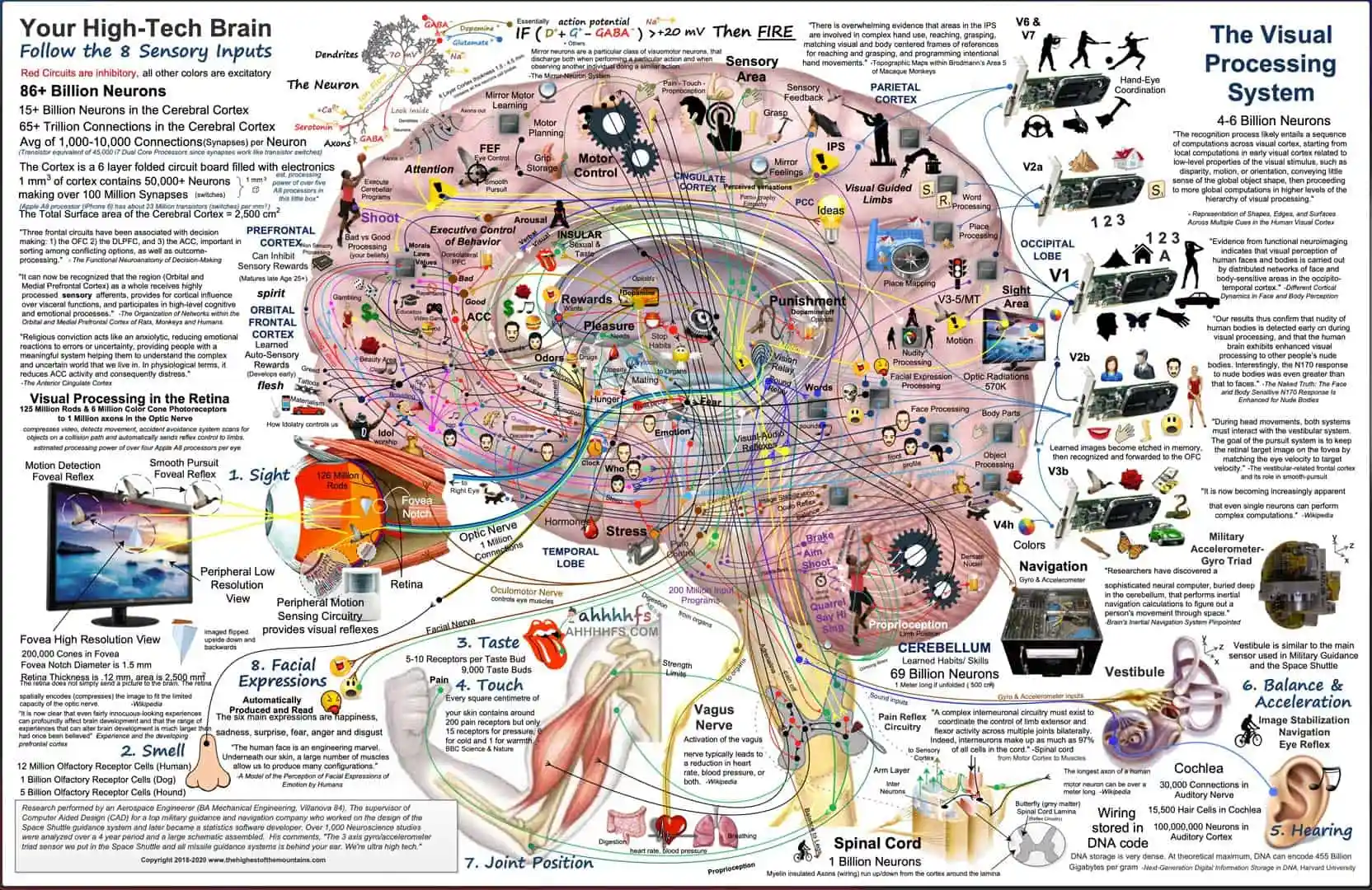 Brain Research
