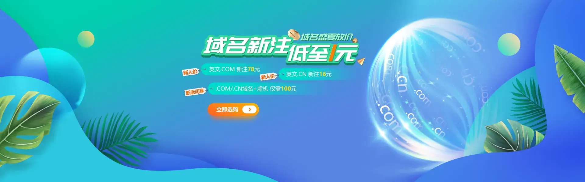 新网域名