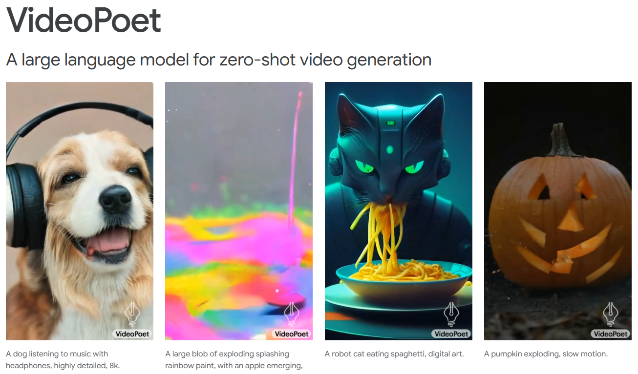 VideoPoet
