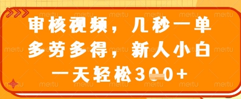 审核视频，几秒一单，多劳多得，新人小白一天轻松3张【揭秘】|HOOK协议网