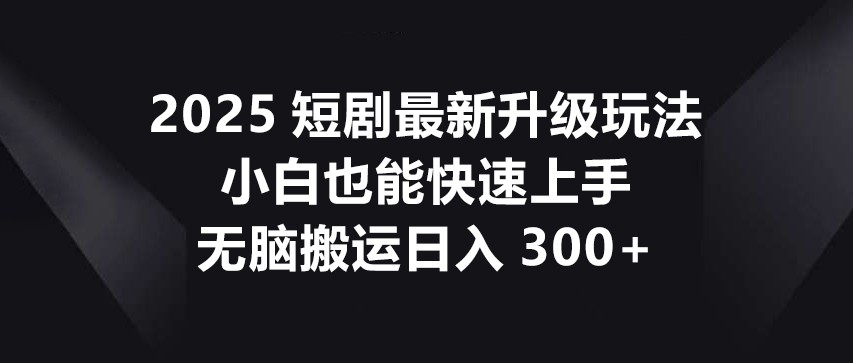 2025短剧最新升级玩法，小白也能快速上手，无脑搬运日入300+|HOOK协议网