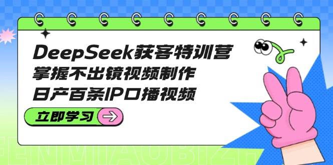DeepSeek获客特训营：掌握不出镜视频制作，日产百条IP口播视频|HOOK协议网