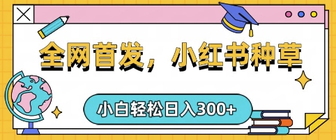 小红书种草，手机项目，日入3张，复制黏贴即可，可矩阵操作，动手不动脑【揭秘】|HOOK协议网