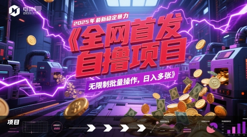 全网首发，2025年最新稳定暴力全自动自撸项目，无限制批量操作，日入多张【揭秘】|HOOK协议网