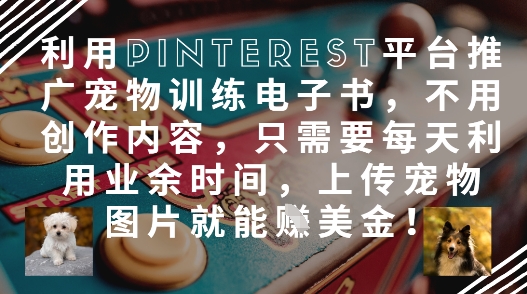利用Pinterest平台推广宠物训练电子书，不用创作内容，只需要每天利用业余时间，上传宠物图片就能挣美金!|HOOK协议网