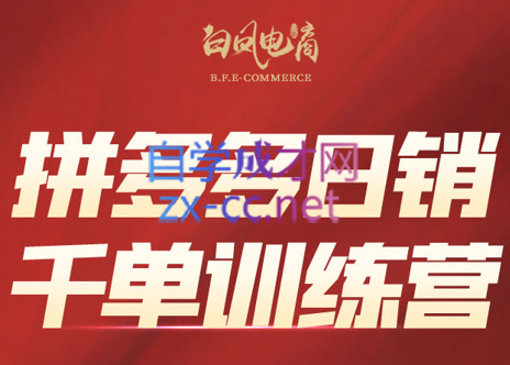 白凤电商·拼多多日销千单训练营(更新6月)|HOOK协议网