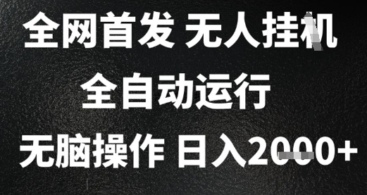 2025首发无人挂G项目，日入2k+，全自动运行，无脑操作，长期稳定 小白可玩【揭秘】|HOOK协议网