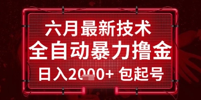 六月最新技术全自动暴力撸金，稳定日入2k+包起号，长期稳定【揭秘】|HOOK协议网