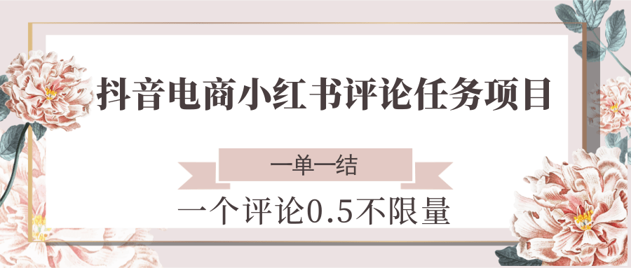 抖音电商小红书评论任务项目，一个评论0.5，一单一结 不限量|HOOK协议网