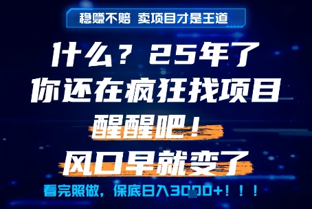什么？25年你还在疯狂找项目做，醒醒吧，看完这些你全都懂了！【揭秘】|HOOK协议网