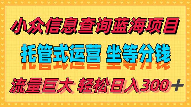 稳定日入300＋，小众信息查询蓝海项目，全程懒人式托管，解放你的时间|HOOK协议网