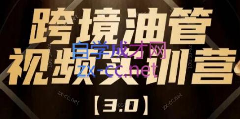 阿蔺Leo·跨境油管视频YouTube实训营(更新2025)|HOOK协议网