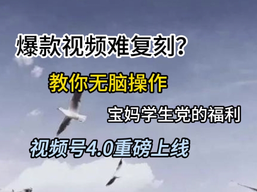 视频号4.0重磅上线，爆款视频难复刻？教你无脑操作宝妈学生党的福利【揭秘】|HOOK协议网