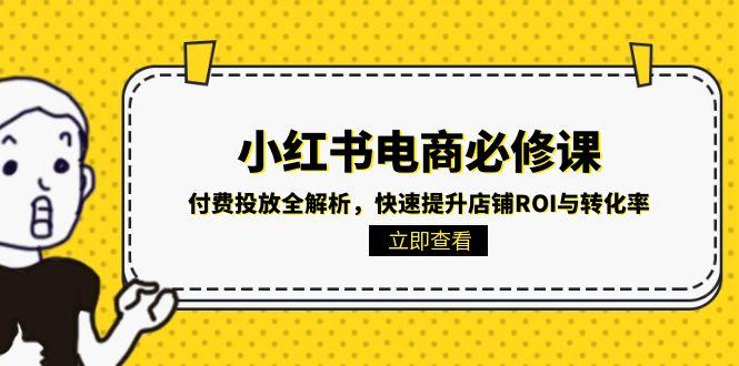 小红书电商必修课：付费投放全解析，快速提升店铺ROI与转化率|HOOK协议网
