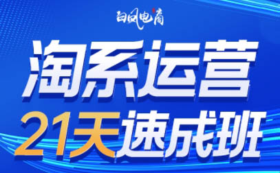白凤电商·淘系运营21天速成班(更新6月)|HOOK协议网
