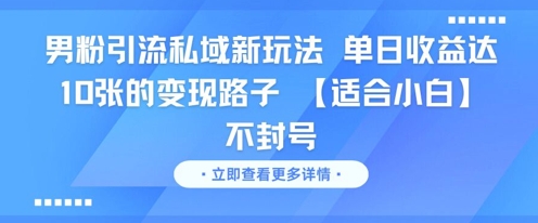 男粉引流私域新玩法，单日收益达10张的变现路子 【适合小白】不封号|HOOK协议网