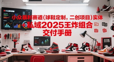 小众暴利赛道(球鞋定制，二创项目)实体+私域2025王炸组合  交付手册|HOOK协议网