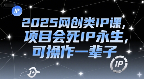 2025网创类IP课，项目会死IP永生，可操作一辈子|HOOK协议网