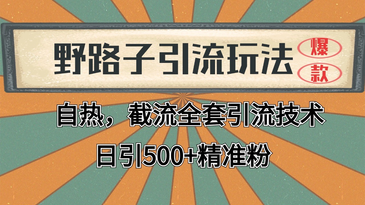 2024首发野路子引流玩法截流自热全平台打法，全自动引流【日引2000+精准客户】|HOOK协议网