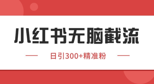 小红书截流同行客源，独家野路子获客玩法 日引200+暴力获客【揭秘】|HOOK协议网
