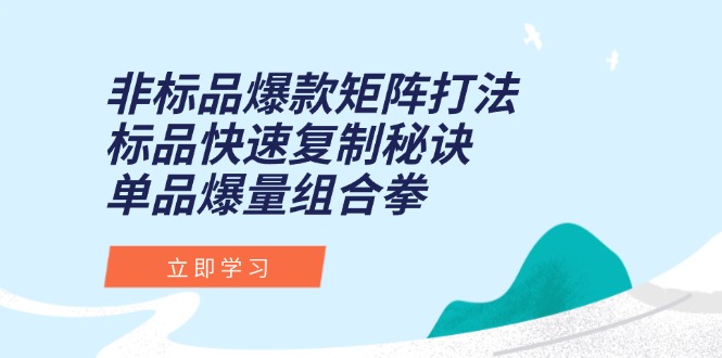 非标品爆款矩阵打法，标品快速复制秘诀，单品爆量组合拳|HOOK协议网