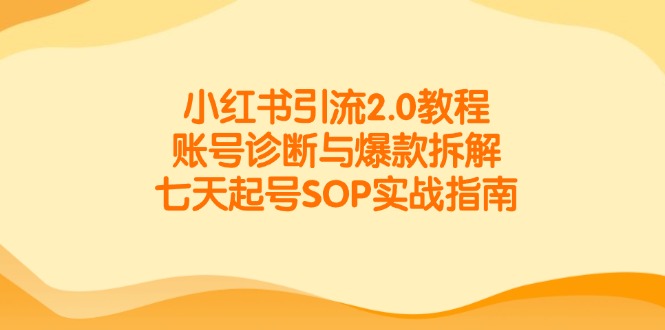 小红书引流2.0教程，账号诊断与爆款拆解，七天起号SOP实战指南|HOOK协议网