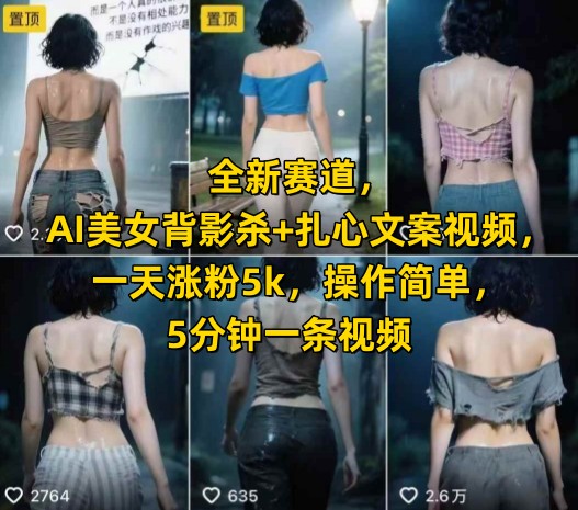 全新赛道，AI美女背影杀+扎心文案视频，一天涨粉5k，操作简单，5分钟一条视频|HOOK协议网